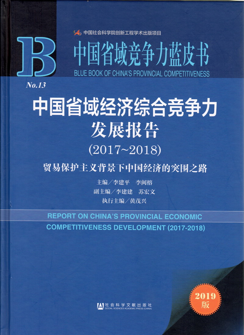 大鸡巴操丝袜美女视频中国省域经济综合竞争力发展报告（2017-2018）