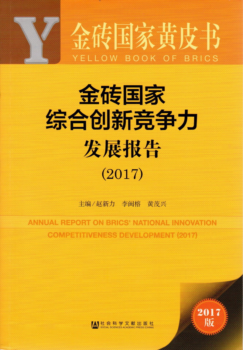 黑人大鸡巴操中国美女逼网址金砖国家综合创新竞争力发展报告（2017）